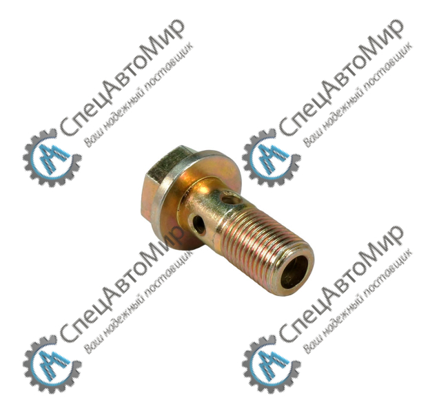 Болт М10х1х22 (штуцер) трубки топливной SHAANXI SHACMAN - 612639000047