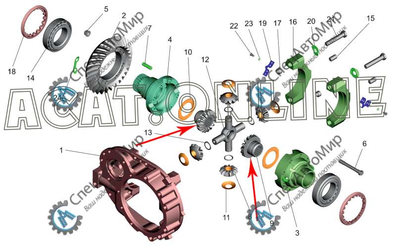 Шестерня полуоси (грибок) МАЗ - 5336-2403050