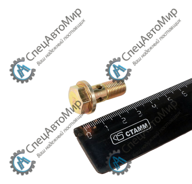 Болт М10х1х22 (штуцер) трубки топливной SHAANXI SHACMAN - 612639000047